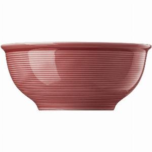 19 Rabatt auf Müslischale 16 cm in trendigem Chilirot