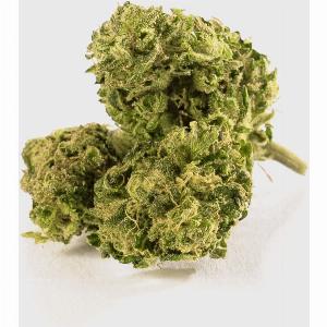 Profitieren Sie von 17 Rabatt auf Super Lemon Haze mit 15 CBD