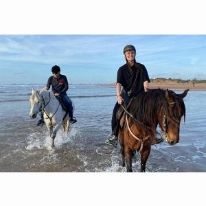 Save 8497 Passeggiata a cavallo di 1 ora a Nabq Bay Beach Transfer Sharm El Sheikh