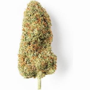 Get 10 Discount on Cheese CBD Flower Indoor Varieties and HempHash