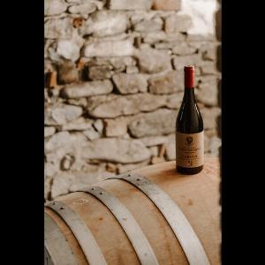 Jetzt 13  sparen auf Barolo DOCG Ludo  Aktion sichern