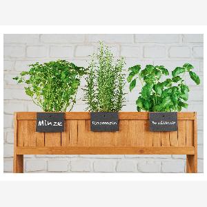 PARKSIDE Étiquette pour plantes 5pcs setcarré