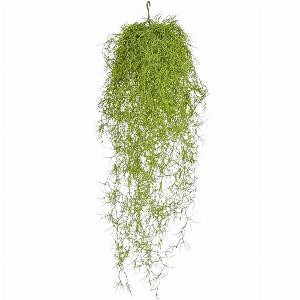 Künstliche Tillandsia  Erwin  75 cm