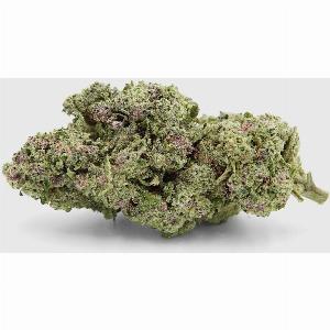 Rabatt von 17  auf Purple Dash  Jetzt Cali CBG entdecken