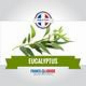 Eliquide arôme Eucalyptus 6MG 10ml 50 PG  50 VG fabriqué en France
