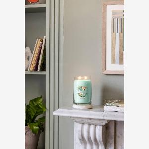 Debenhams Unisex Wax melt single aloe agave