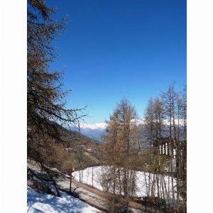 Les Orres 1650  Résidence le Pouzenc  Studio coin montagne 4 personnes 106