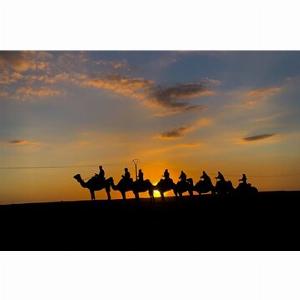 Save 7000 Camel Riding Experience nel deserto di Agafay con cena e tramonto