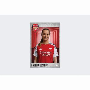 Arsenal 202425 Ilestedt Headshot Multicolor