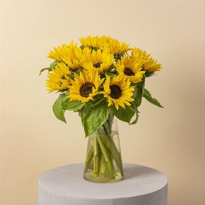 Sunshine Delight Now 3099 Was 3499  Enjoy 11 Savings