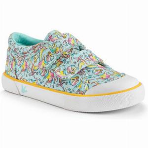 Colourful Dino Print Canvas Shoes with RipTape Fastening