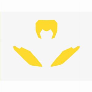 Économisez 47 sur le fond de plaque de moto Blackbird Racing Fantic XX