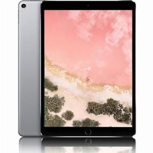 Apple iPad Pro 2nd Gen 105Inch WiFi  64GB or 256GB