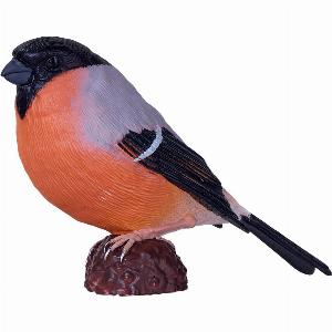 Bullfinch now 695 previously 995  Save 30 Today