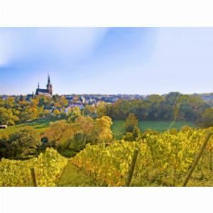 Aktiv und entspannend Erholung in den Eltviller Weinbergen