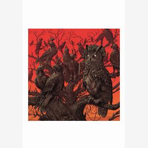 Impericon Bénéficiez de 11% de réduction sur le CD de Kvelertak Endling 4050538864960