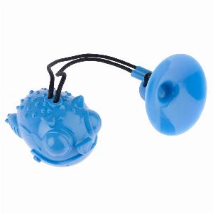 Profitez de 37 de réduction sur le jeu TIAKI Dragon pour chiens  12 x 9 x 8 cm