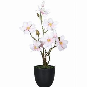 Künstliche Magnolie Azzurra  45 cm jetzt nur 2999  36  Rabatt