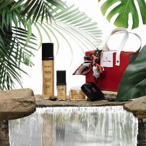 Enjoy a 23 discount on the Stem Cells PhytoElite Holiday Gift Set today