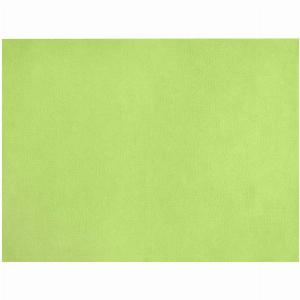 Tovaglietta americana Spuno GARCIA DE POU 30x40 cm verde anice 200 pz 1464