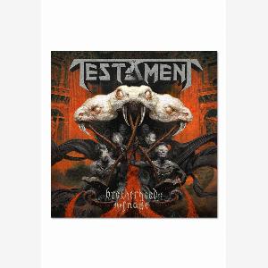 Save 38 on Testament Brotherhood of the Snake Compact Disc