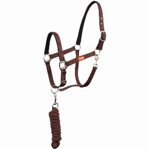 23 Rabatt auf Pferdehalfter und LongiergurtSet von Premiere Equitation