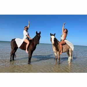 Save 7500 Tour a cavallo di 2 ore Mare e deserto con trasferimento  Hurghada