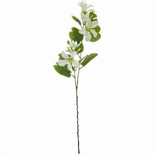 Cream Bauhinia Orchid Spray Now 1299 Previously 1799 Save 28