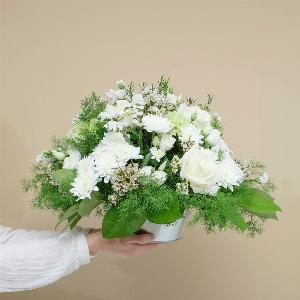 Composizione Serenità Bianca ora a 4999  sconto del 17