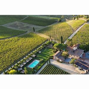 Scopri i Vini del Chianti Classico Visita e Degustazione a 2799