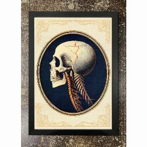 Vintage Skull Diagram Framed 21x30cm Print