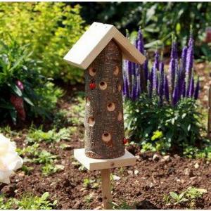 Get 7 Discount on the Ladybird Insect Tower Today