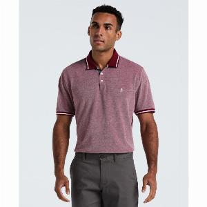 Birdseye Pique Tipped Polo Shirt In Cabernet