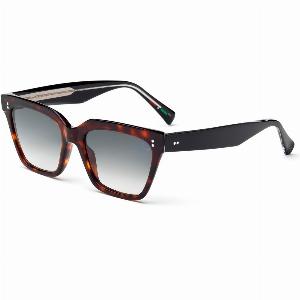 Laps Collection Woman ALIDA 016LP 092009 Outlet sunglasses Acetate Havana Grey Squared Normal Shaded
